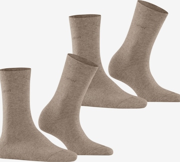 ESPRIT Socks 'Basic Easy 2-Pack' in Brown: front