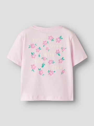 NAME ITMajica 'NMFFinula' - roza boja