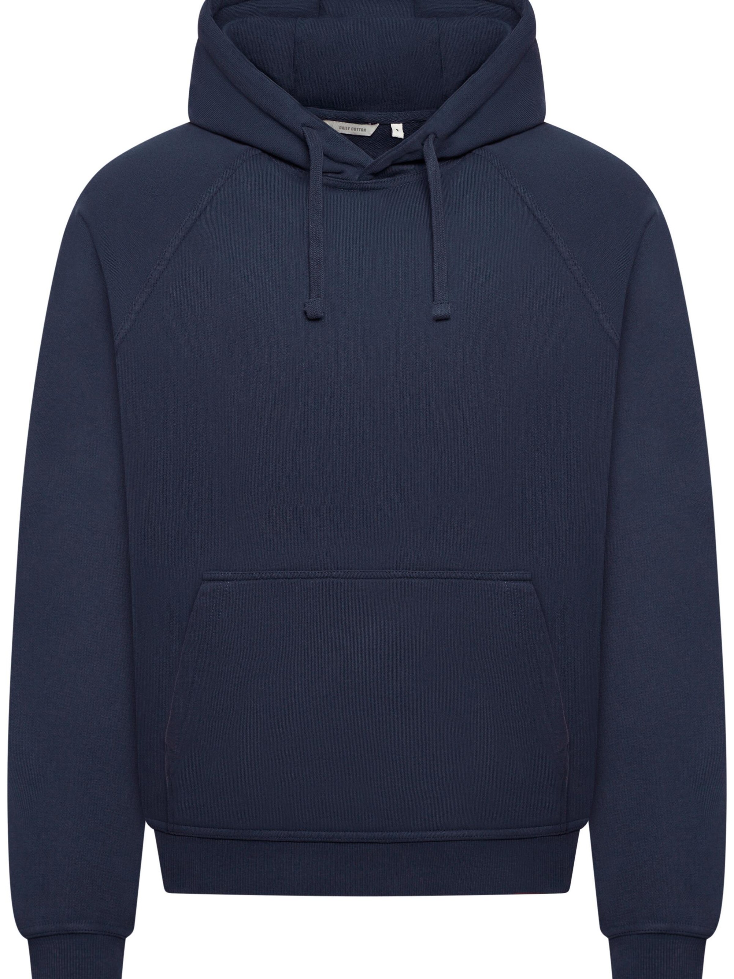 Daily Cotton Sweatshirt 'DCBAEZA' in Blue