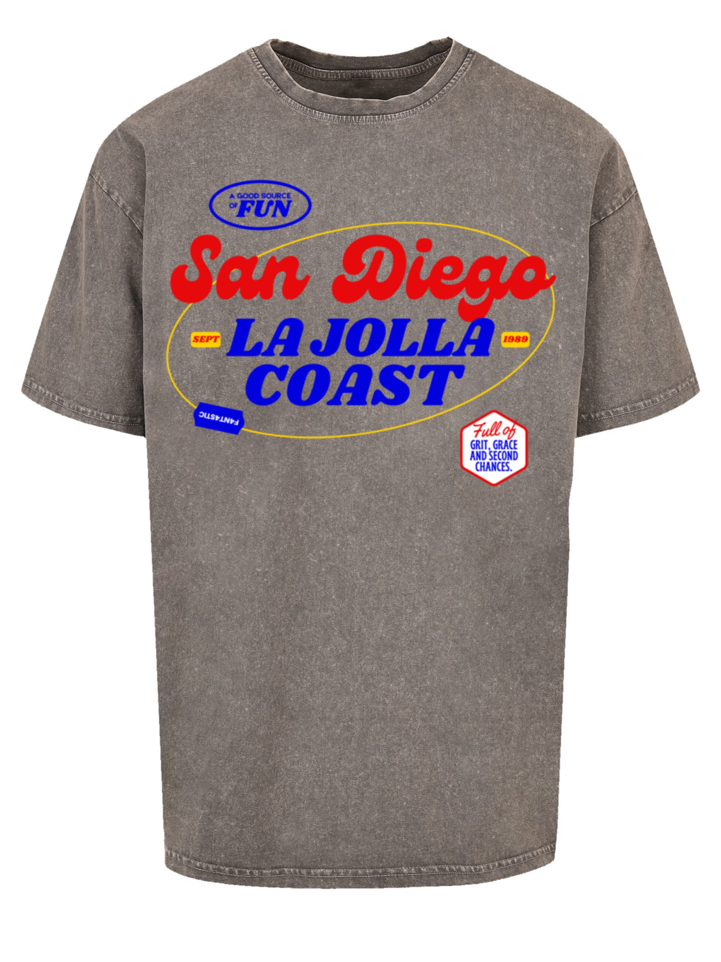 T-Shirt F4NT4STIC en gris : devant