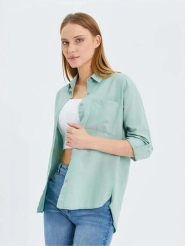 Chemisier MixRay en vert