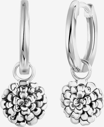 Boucles d'oreilles Lucardi en argent : devant