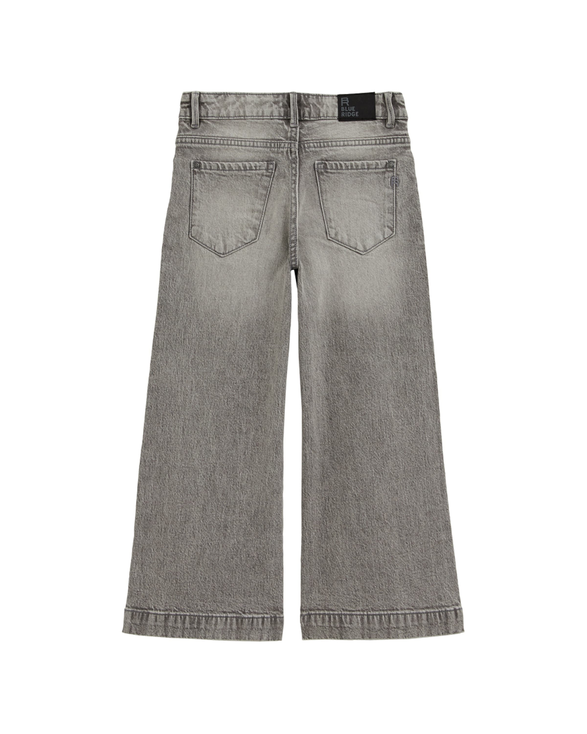 Wide Leg Jean WE Fashion en gris