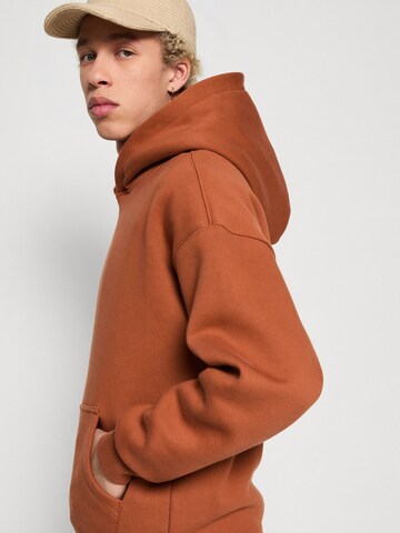 ALPHA INDUSTRIES Sweatshirt i brun
