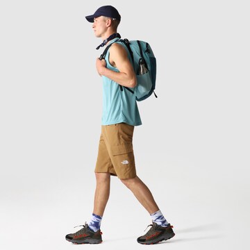 THE NORTH FACE Regular Cargo Pants 'Horizon Circular' in Brown