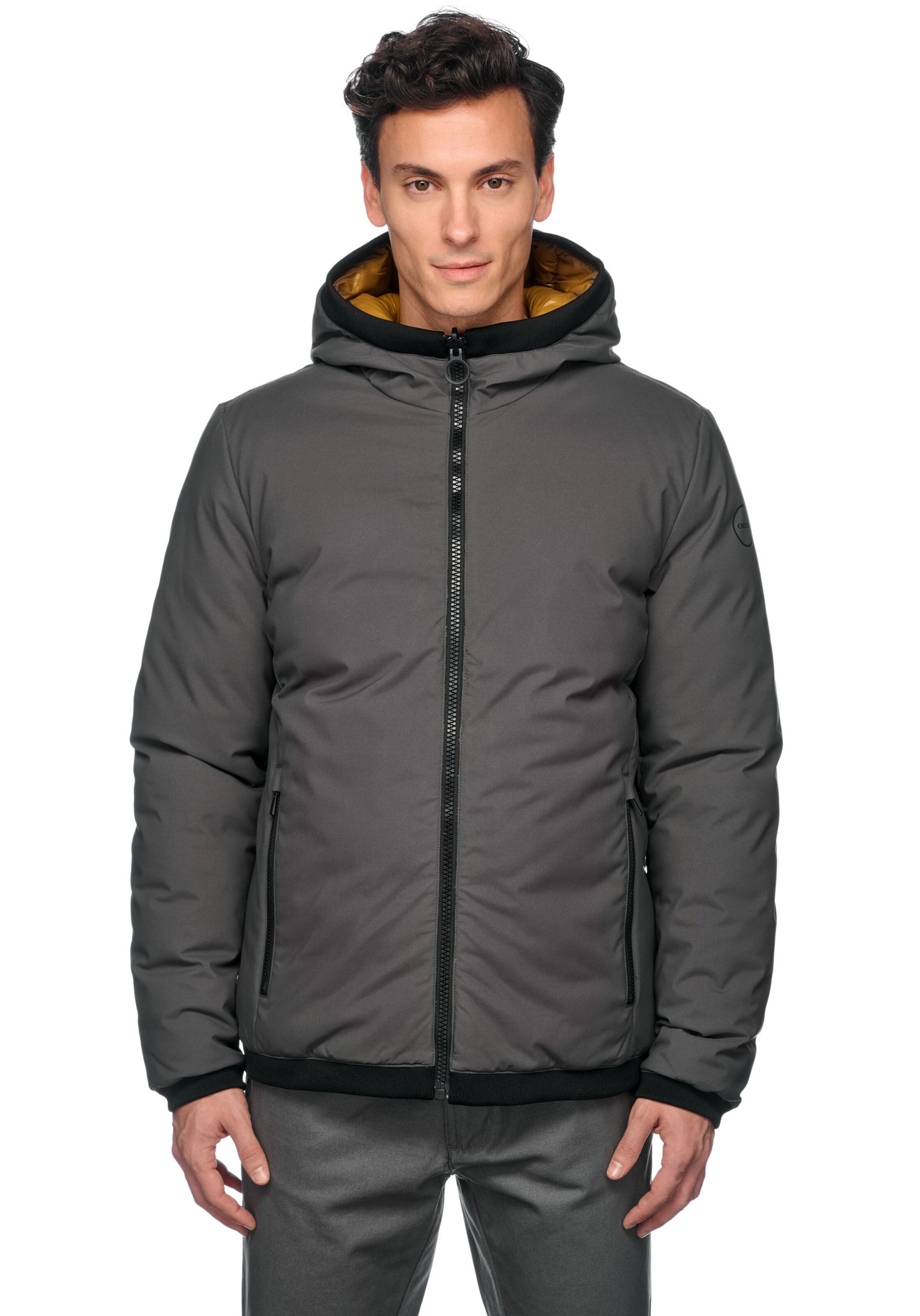 GEOX Winter Jacket in Grey: front