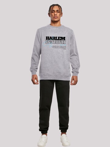 F4NT4STIC Sweatshirt 'Harlem' in Grijs