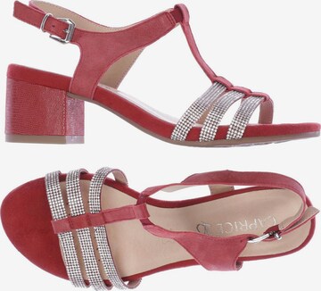 CAPRICE Sandals & High-Heeled Sandals in 37 in Red: front