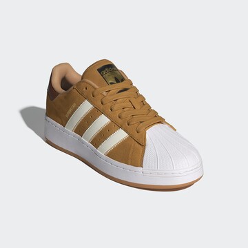 ADIDAS ORIGINALS Rövid szárú sportcipők 'Superstar' - barna