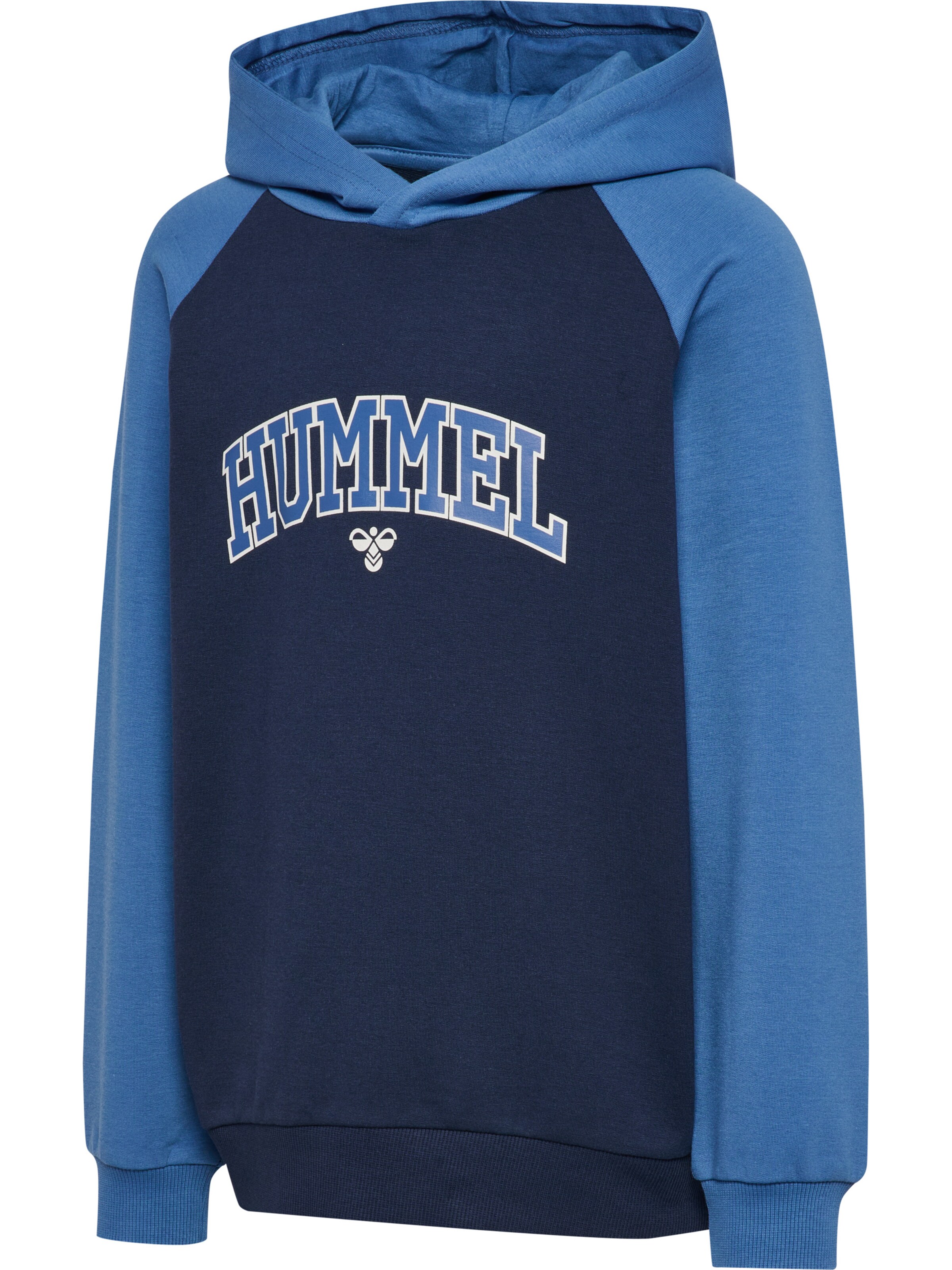 Hummel Sweatshirt 'Essen' i blå