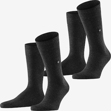 BURLINGTON Socks 'Everyday 2-Pack' in Grey: front