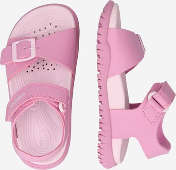 GEOX Sandals 'Fusbetto' in Pink