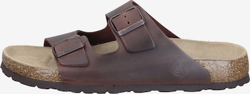 DR. BRINKMANN Pantolette 'Bonillo' in Braun: Vorderseite