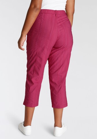 KjBRAND Regular Pants in Pink