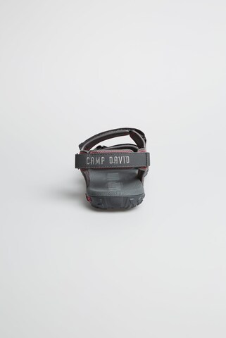 CAMP DAVID Hiking Sandals in Grey