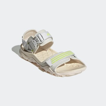 ADIDAS TERREX Sandals 'Cyprex Ultra II DLX' in Grey