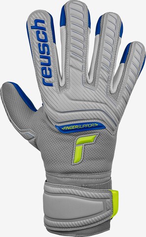 REUSCH Athletic Gloves 'Attrakt Grip Evolution' in Grey