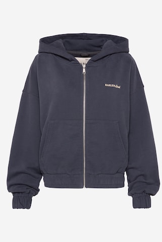 Harlem Soul Zip-Up Hoodie 'DE-VYN' in Grey: front