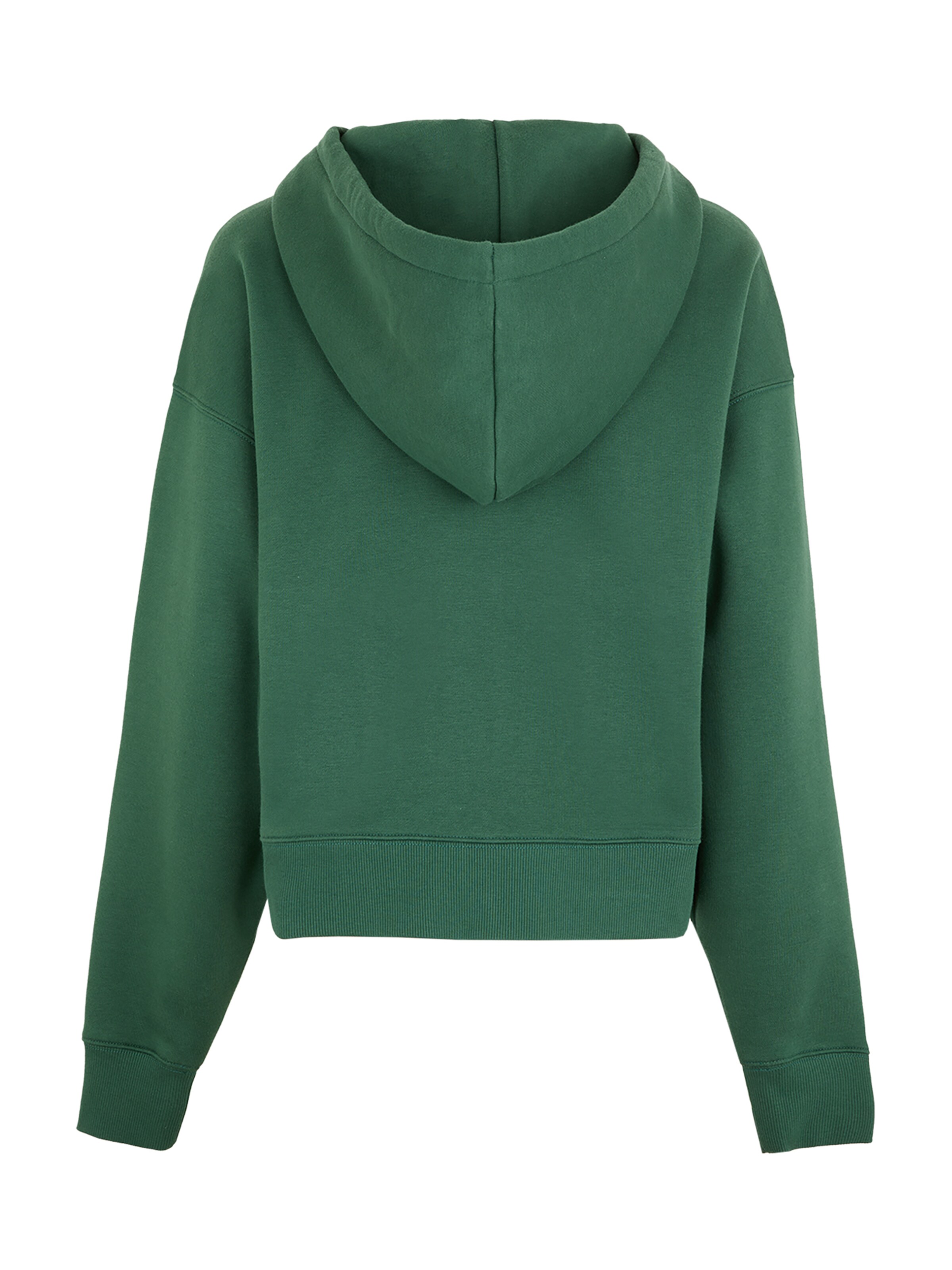 žalia DICKIES Džemperis 'Oakport'