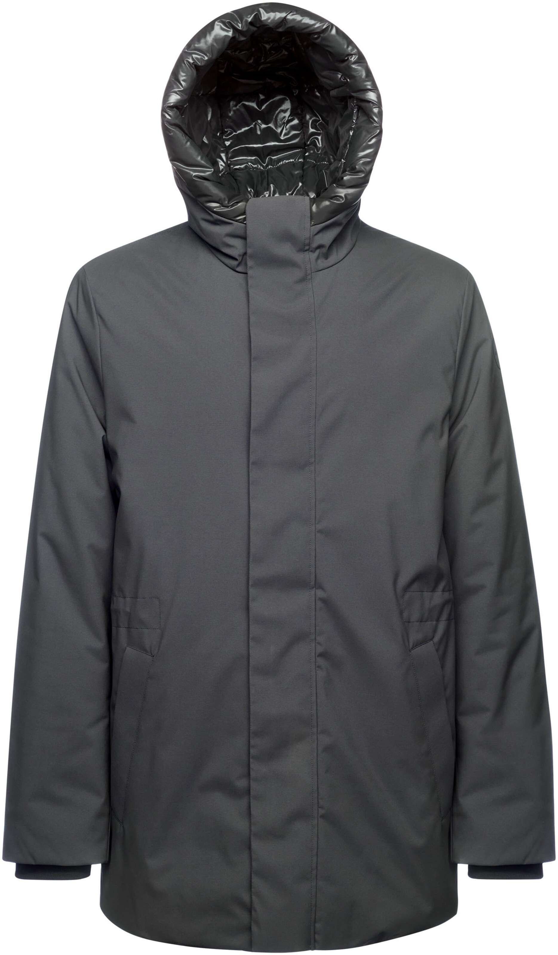 GEOX Winter Parka in Grey: front