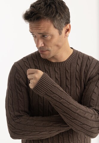 Felix Hardy Pullover i brun