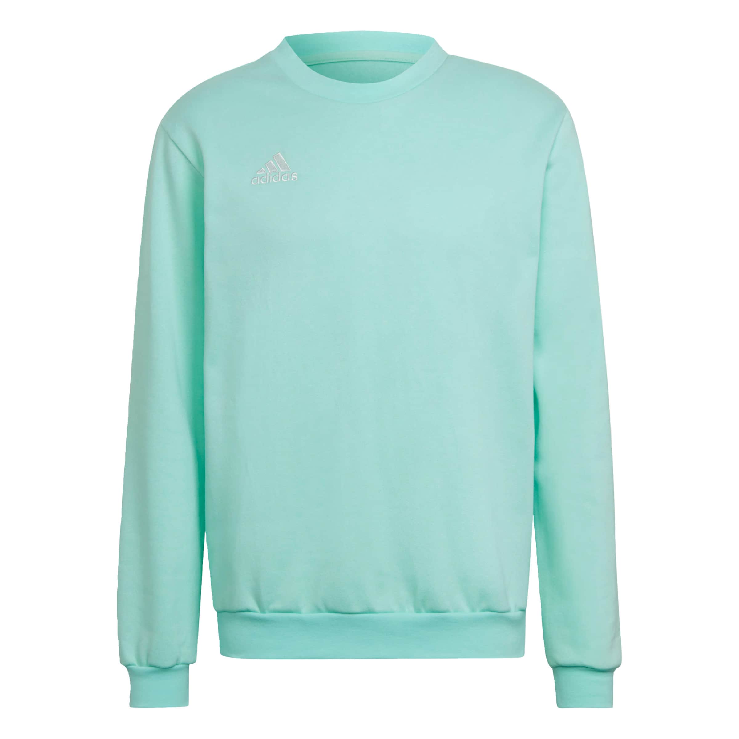 ADIDAS PERFORMANCE Sportsweatshirt 'Entrada 22' in Blau: Vorderseite