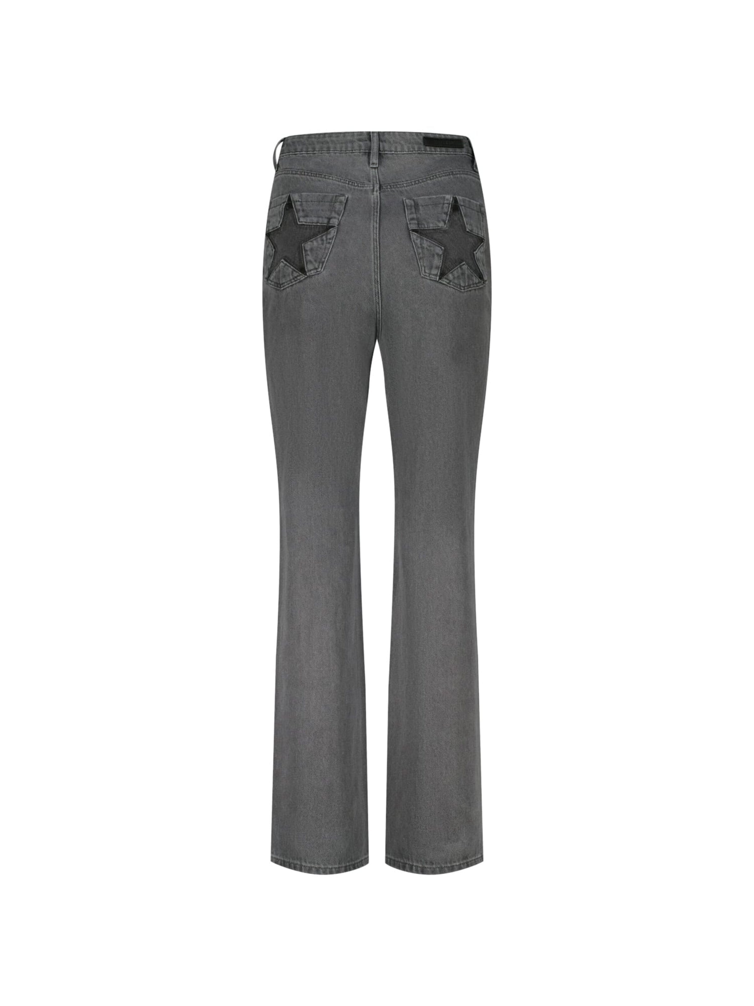 Raizzed Baggy Jeans in Grijs