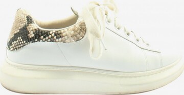 STEVE MADDEN Sneakers & Trainers in 41 in White: front