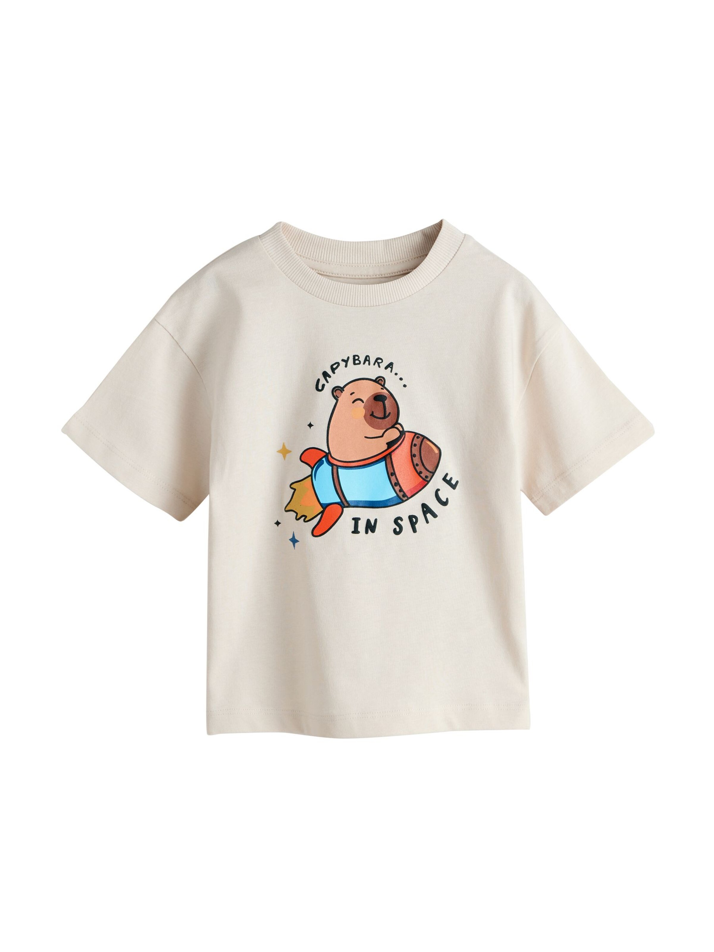 Next T-Shirt in Beige: Vorderseite