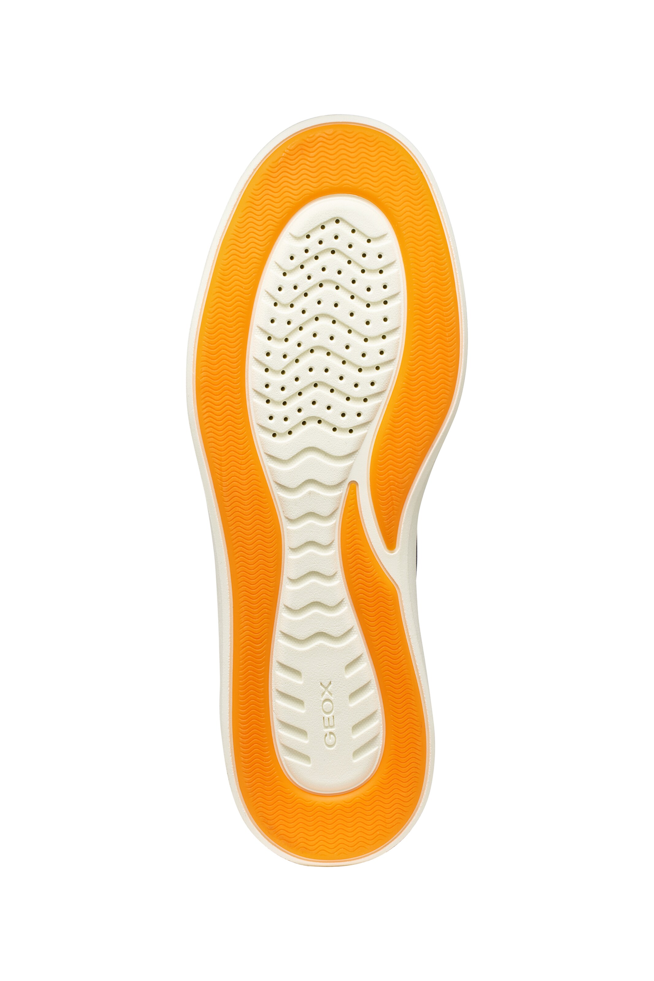 GEOX Sneakers in Blue