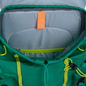 DEUTER Sports Backpack 'Climber' in Green