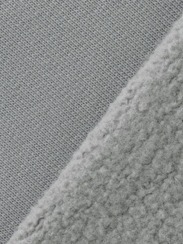 ENRAGE Loosefit Bundfaltenhose 'ENRAGE' in Grau