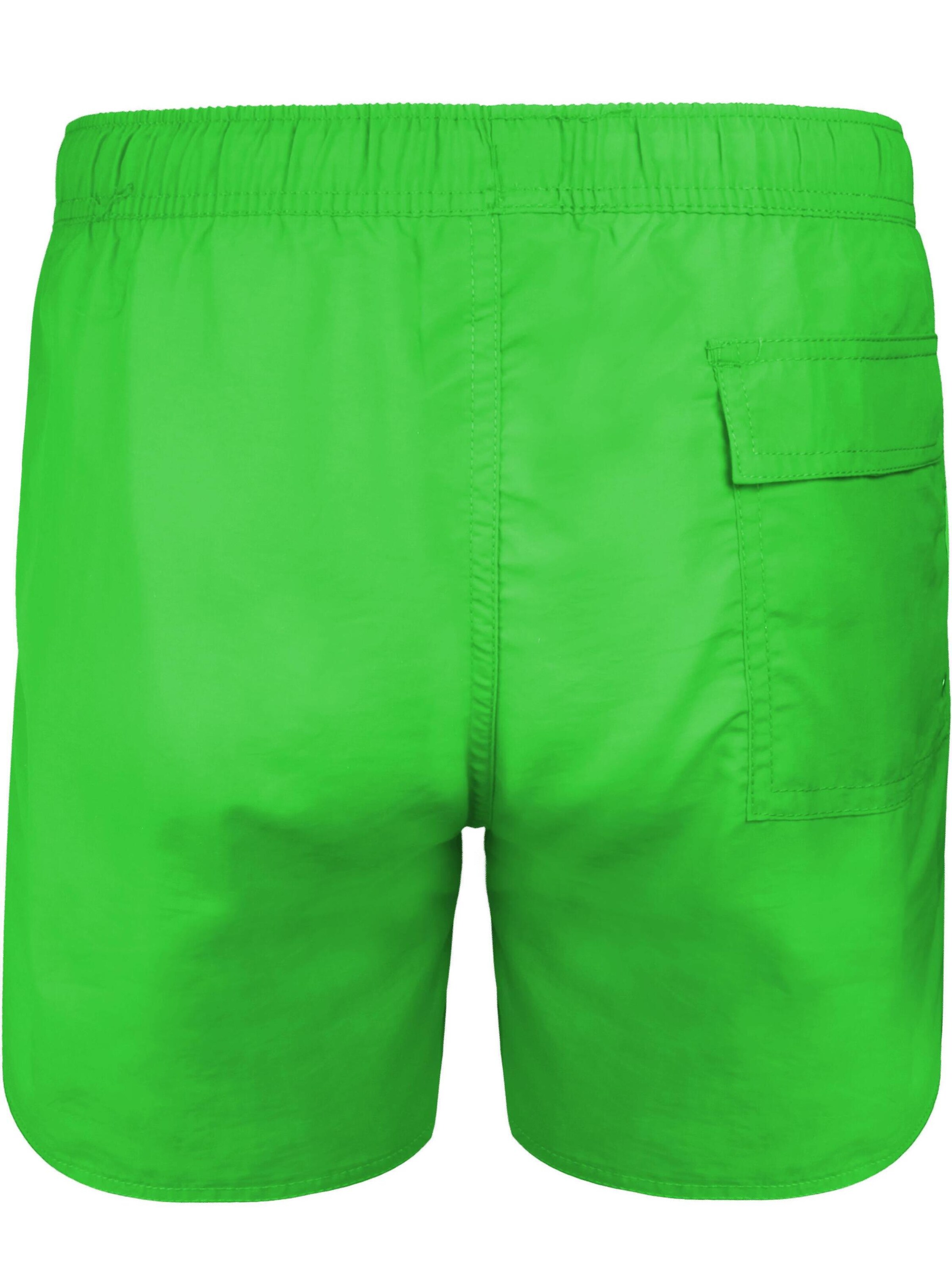 normani Badeshorts 'Coastline' in Grün