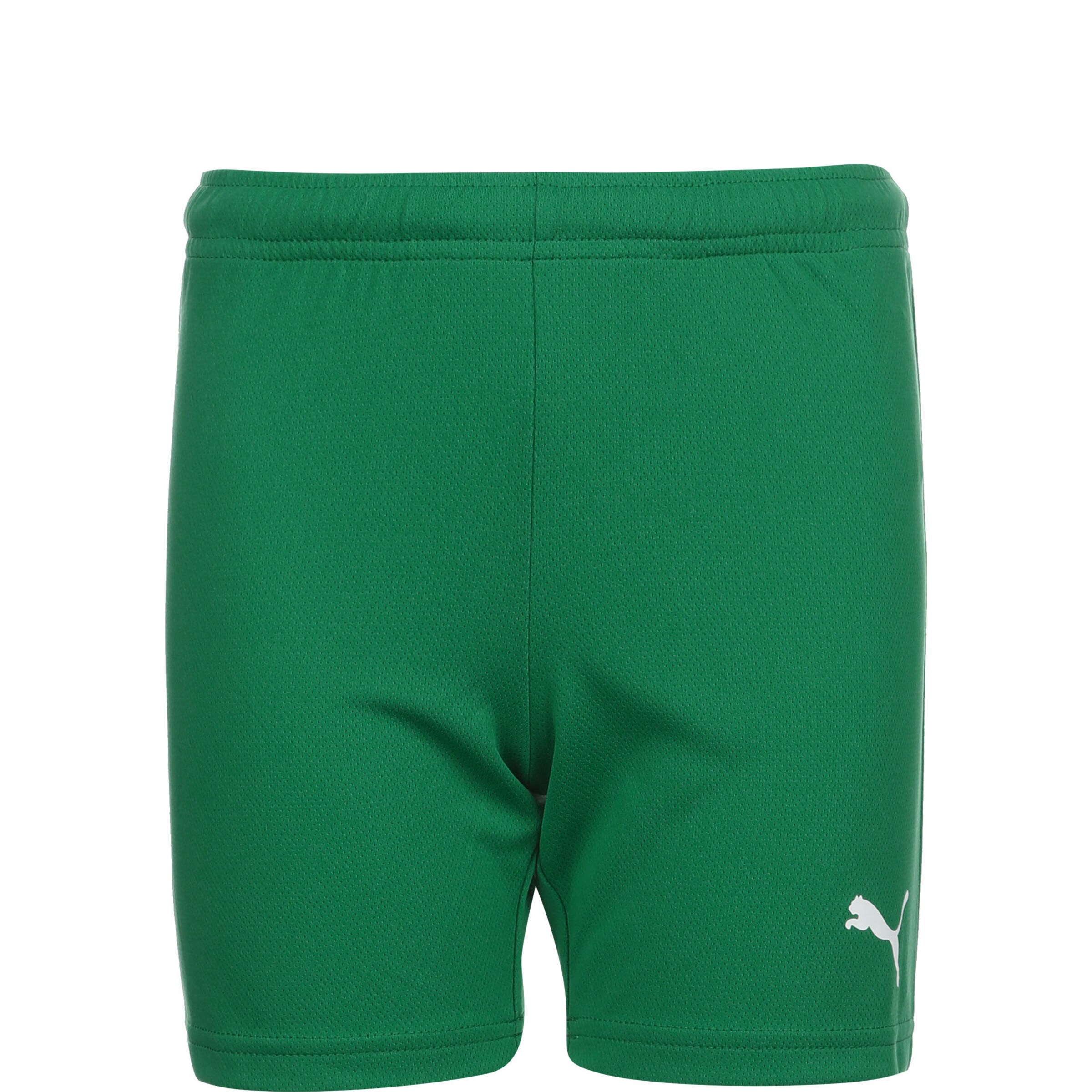 PUMA Sportbroek 'TeamRise' in Groen: voorkant