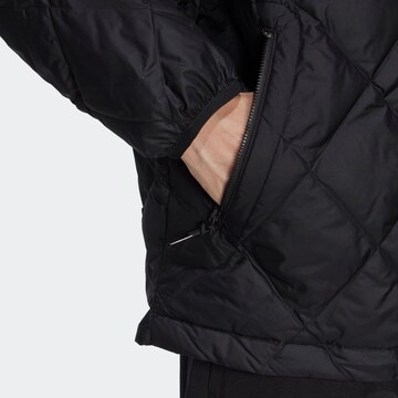 ADIDAS ORIGINALS Winter jacket 'Down Quilted ' in Black