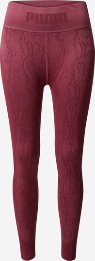 Sportinės kelnės iš PUMA, spalva – uogų spalva / raudonai violetinė, Prekių apžvalga