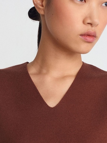 Dilvin Sweater 'Pullover' in Brown