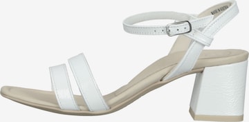 Paul Green Strap Sandals in White