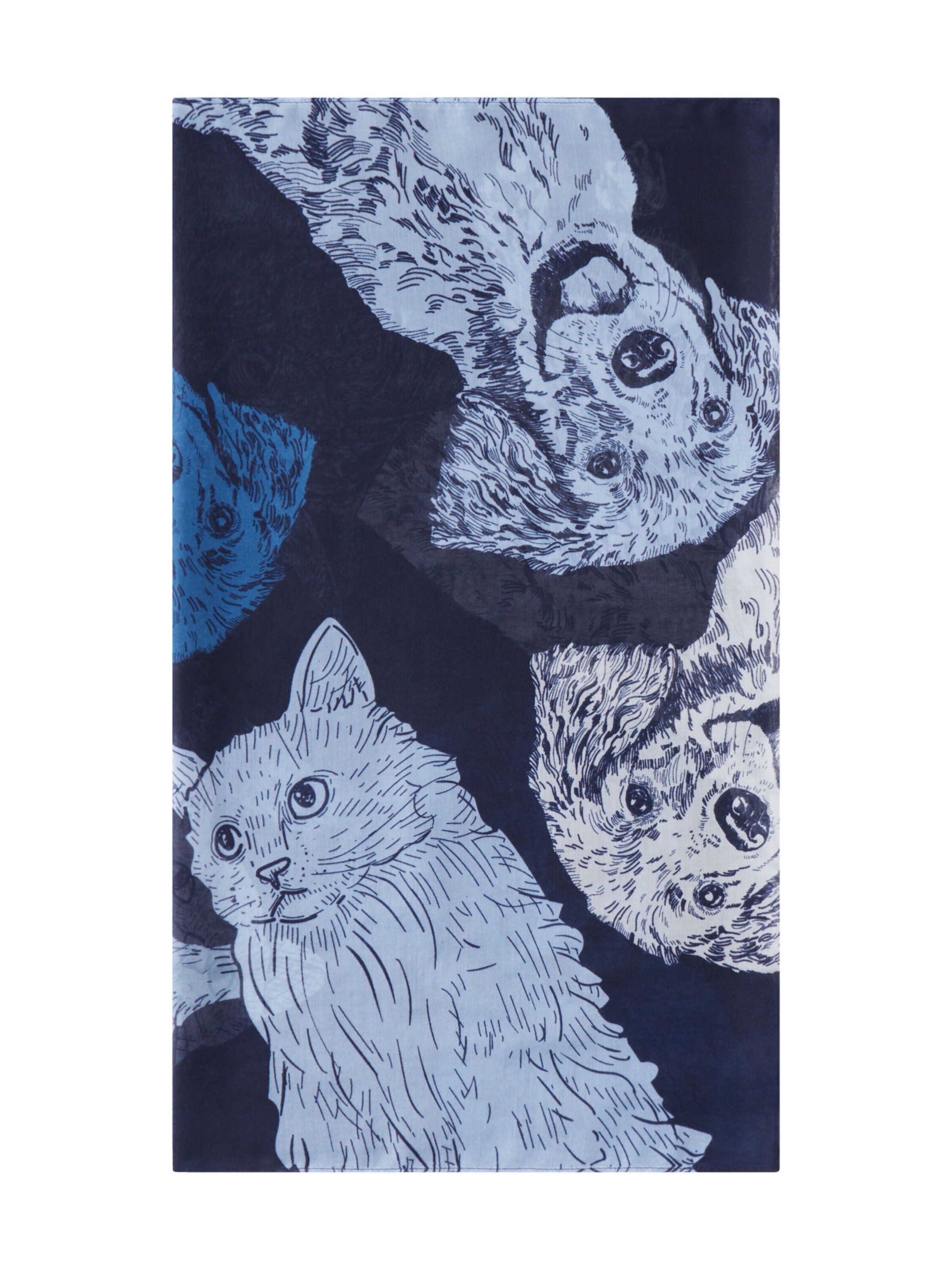 CODELLO Sjaal in Blauw