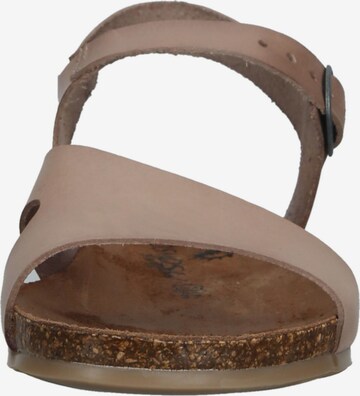 COSMOS COMFORT Strap Sandals in Brown