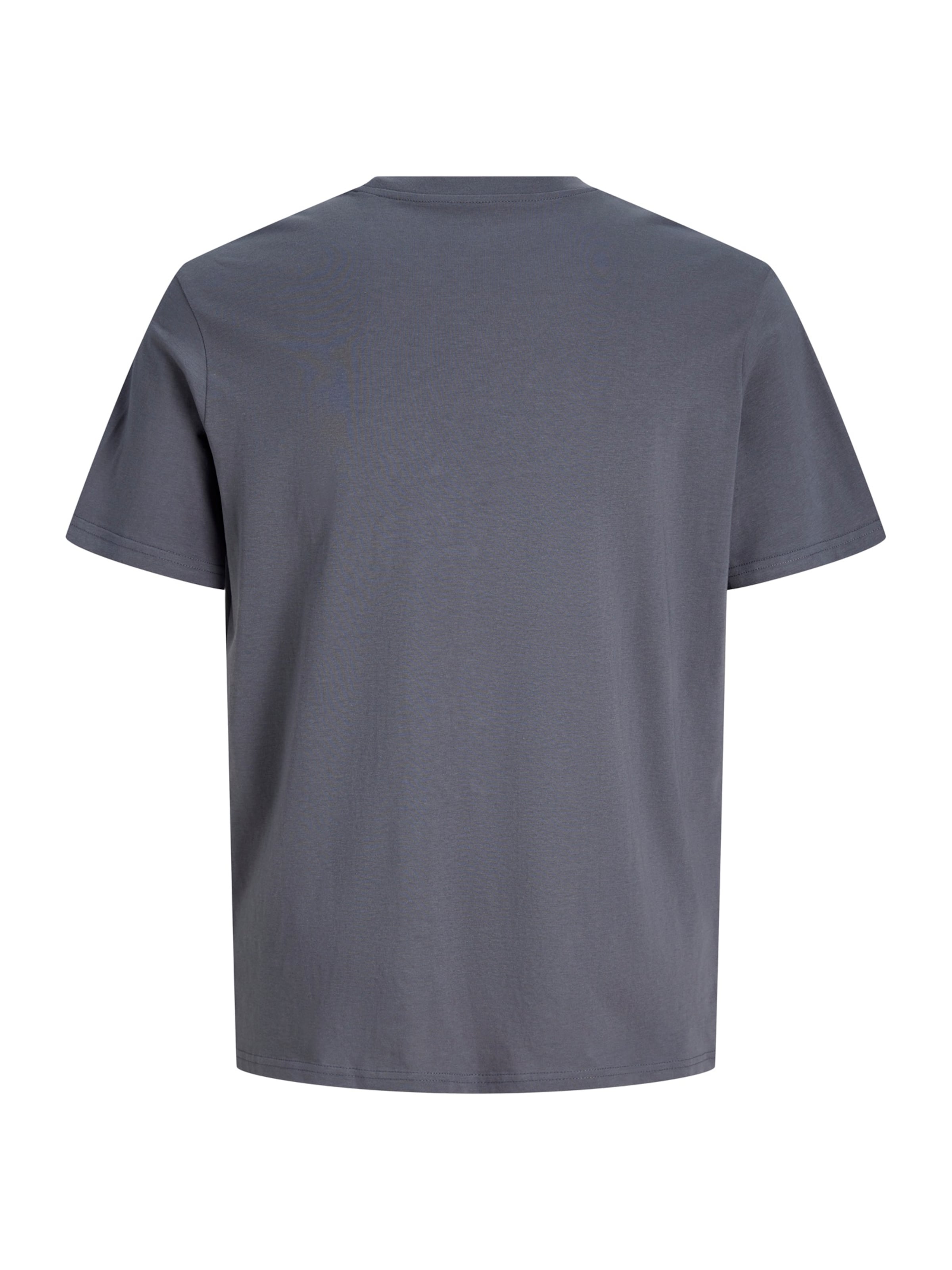 Jack & Jones Plus - Camiseta 'JPRBLALUCAS' en gris