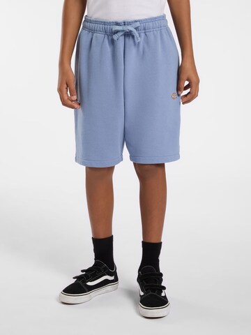 DICKIES Regular Trousers 'MAPLETON' in Blue: front