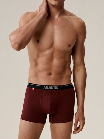 Atlantic Boxer shorts 'ATLANTIC' in Purple: front