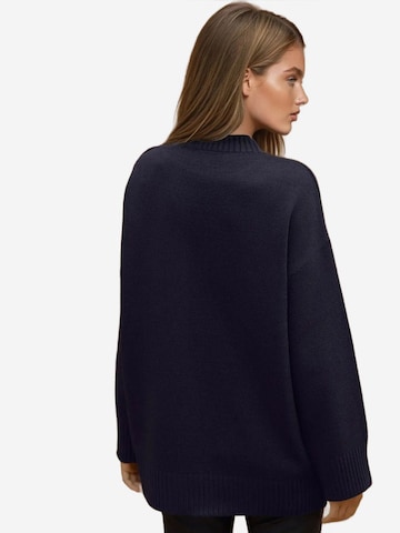 Hiccup Trui in Blauw
