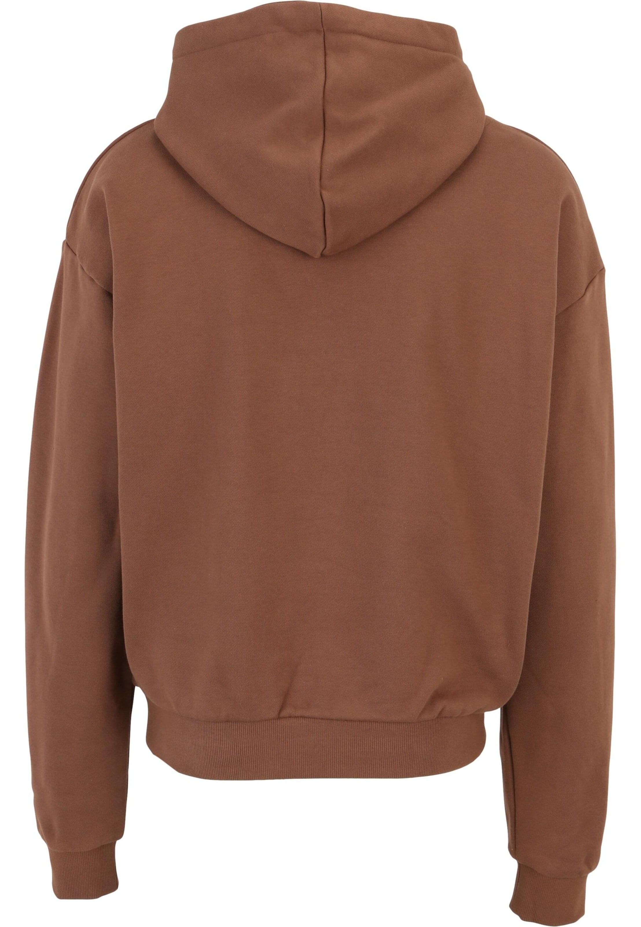 Lost Youth Sweatshirt 'Icon V.5' in Brown