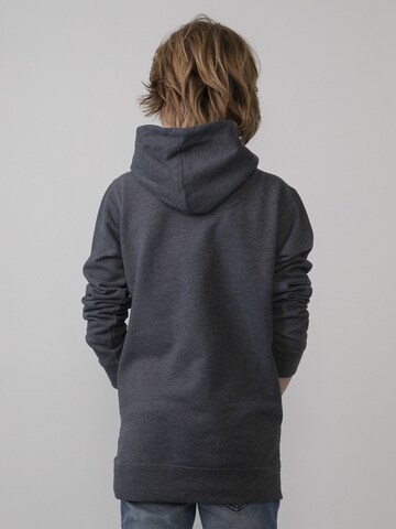 Petrol Industries Sweatshirt in Blau