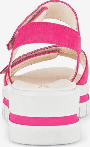 GABOR Sandals in Pink