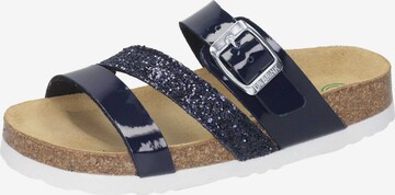 DR. BRINKMANN Slippers in Blue: front
