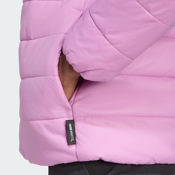 Veste outdoor 'Essentials' ADIDAS TERREX en violet