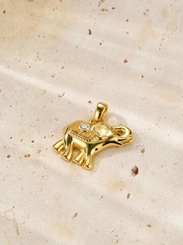 Hey Happiness Ketting 'Success Spirit' in Goud